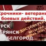 Как найти и посмотреть сертификат электронной подписи