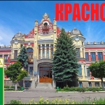 Лучшие офисные кресла 2026: эргономика, рейтинг и советы эксперта