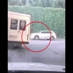 Метод Фейнмана и техника резиновой уточки: учитесь чему угодно