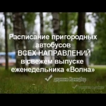 Лучшие офисные кресла 2026: эргономика, рейтинг и советы эксперта