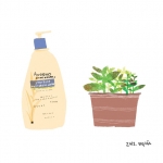 바디로션과 다육식물